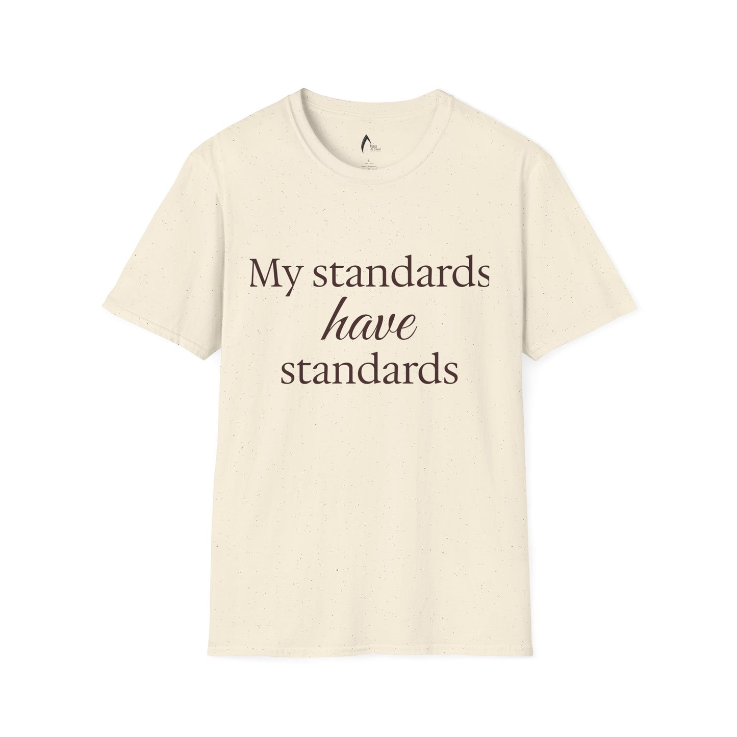 My Standards Have Standards T-Shirt | Minimalist Typography Tee